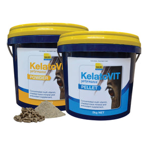 KelatoVIT Performance Powder 2kg